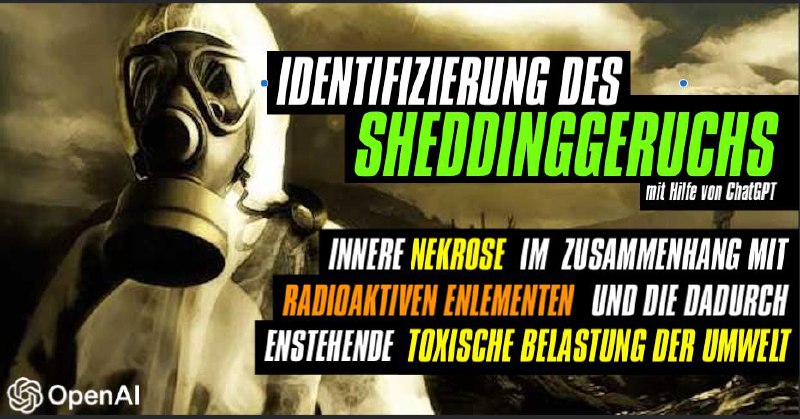 Bild ohne Beschreibung Bild ohne Beschreibung